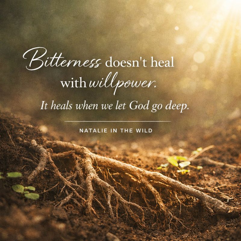 🌱 Breaking the Chains of Bitterness: From Wormwood to Grace