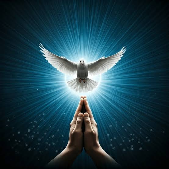 🕊️ Freedom in the Spirit: Walking Light in a Heavy World