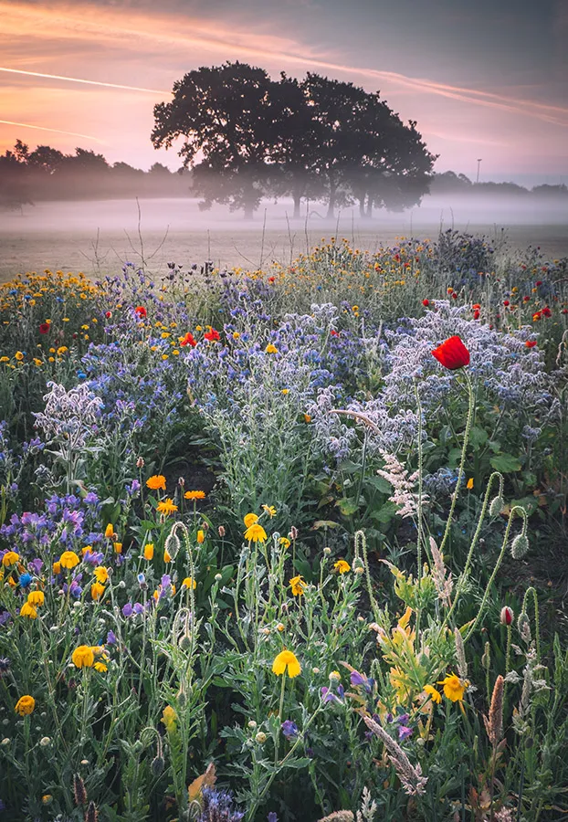 10 Things I Know in My Bones After Trauma and Healing