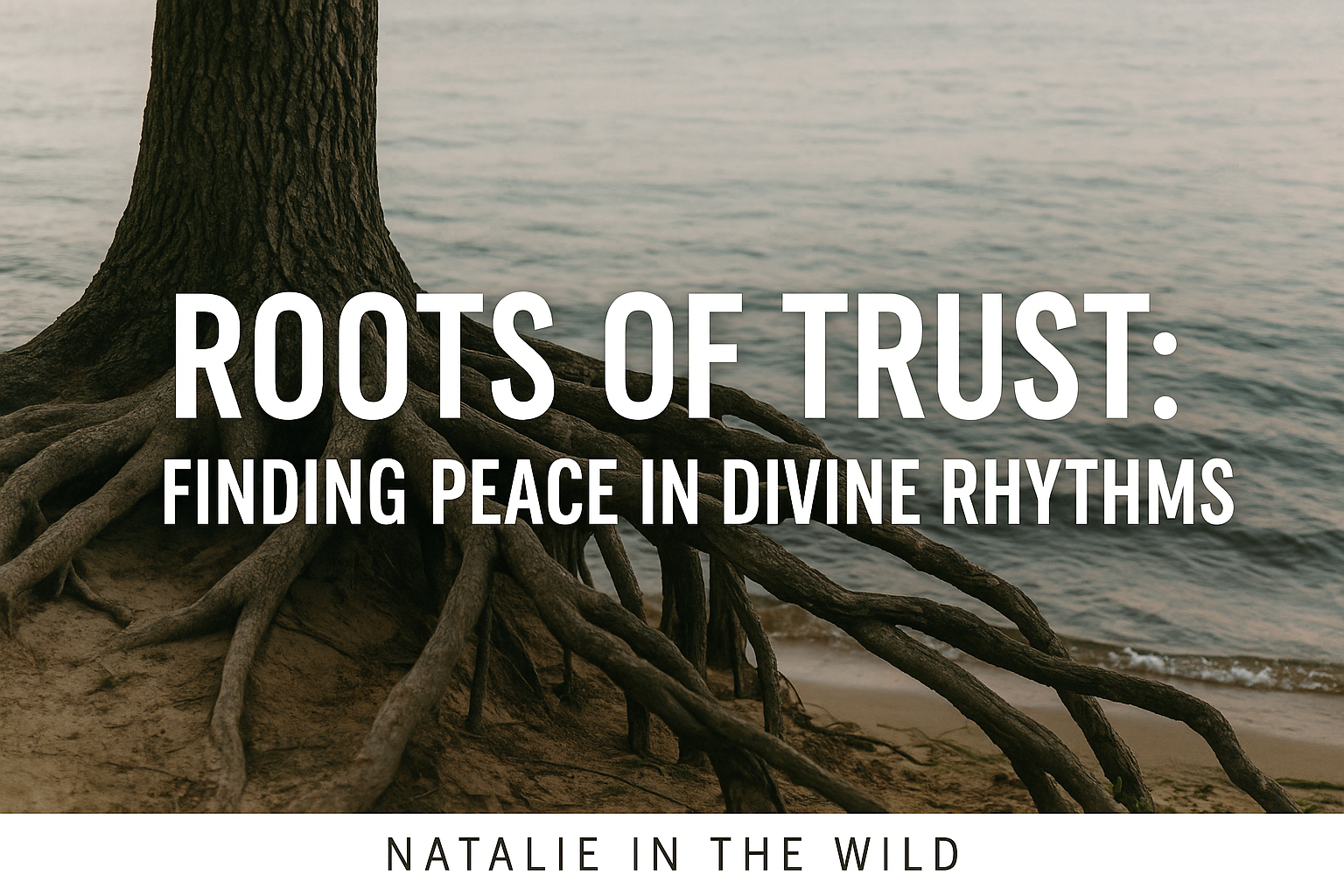Roots of Trust: Finding Peace in Divine Rhythms