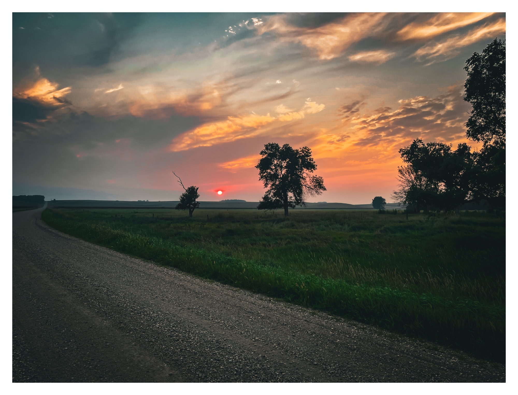 A prairie scene from an evening of wildlife photography during golden hour.