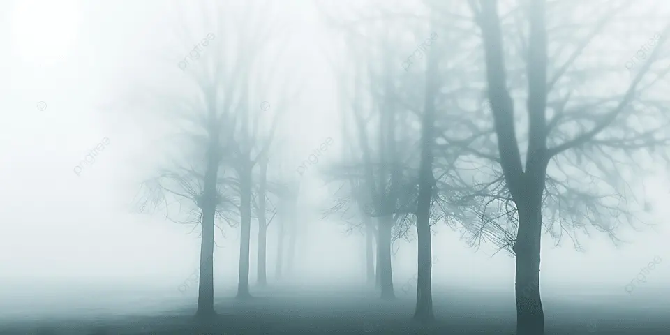 Word of the Day: STEADY | Finding a Place to Stand While Becoming